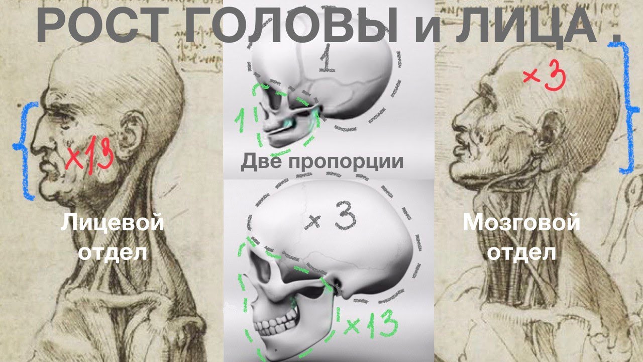 Влияние роста лицевого отдела черепа на шейный отдел позвоночника - YouTube
