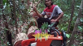 Chainsaw Party Mix 🎵 BALOK PAPAN SEMPURNA – TUKANG SENSO ANTHEM, VERSI 1
