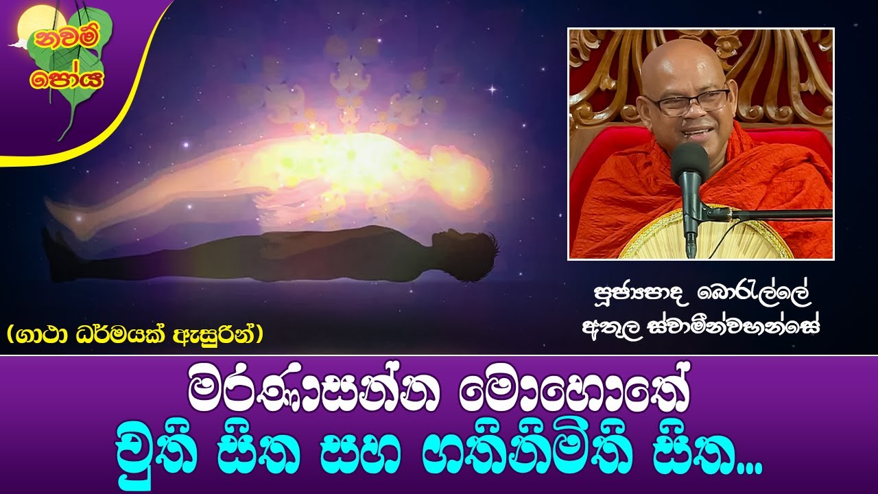 Ven Borelle Athula Thero | 2024-02-23 | 03:30 PM (මරණාසන්න මොහොතේ චුති සිත...)