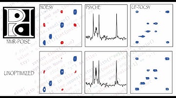 NMR-POISE: video overview