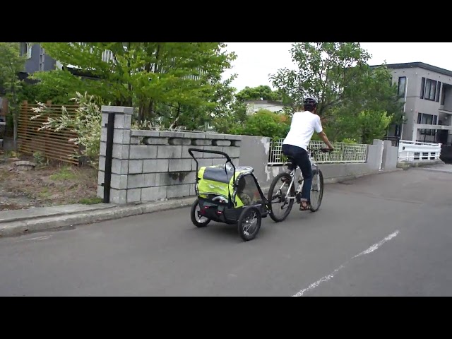 Allen Sports アレンスポーツ チャイルドトレーラー AS-2G - YouTube