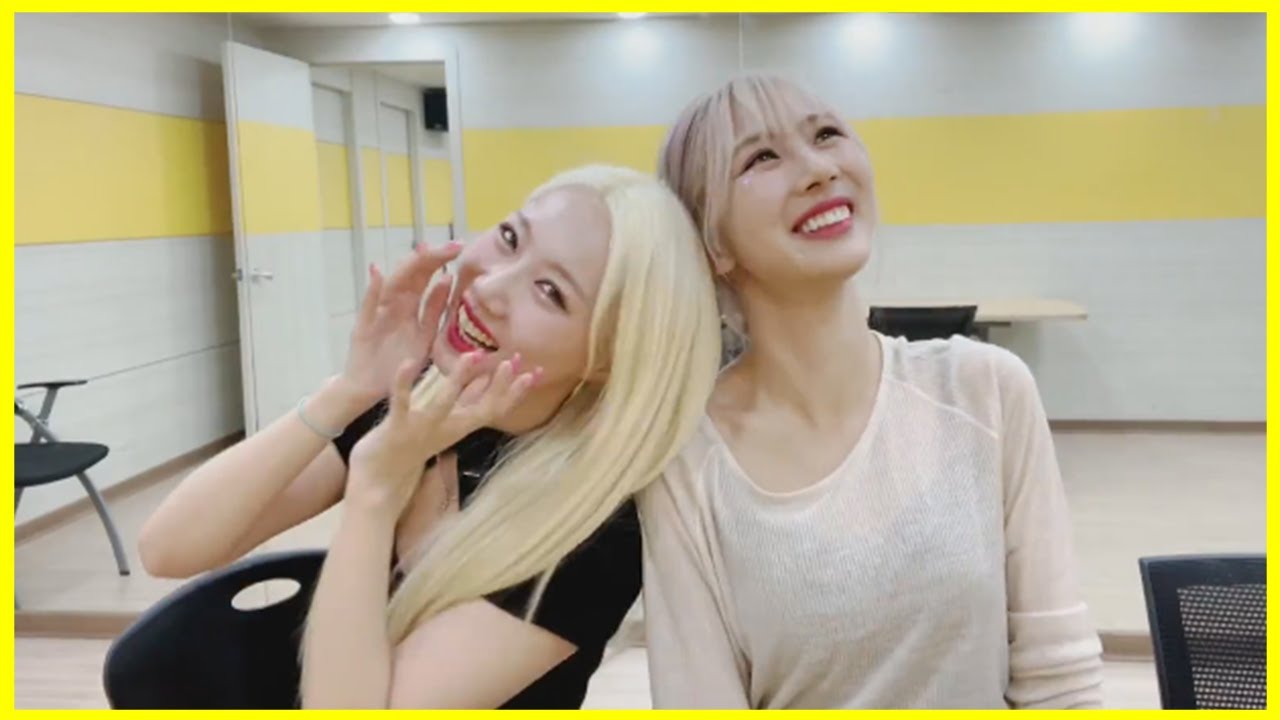 welcome to handong & yoohyeon's live 🐱🐶 드림캐쳐 한동 유현 라이브 환영합니다~