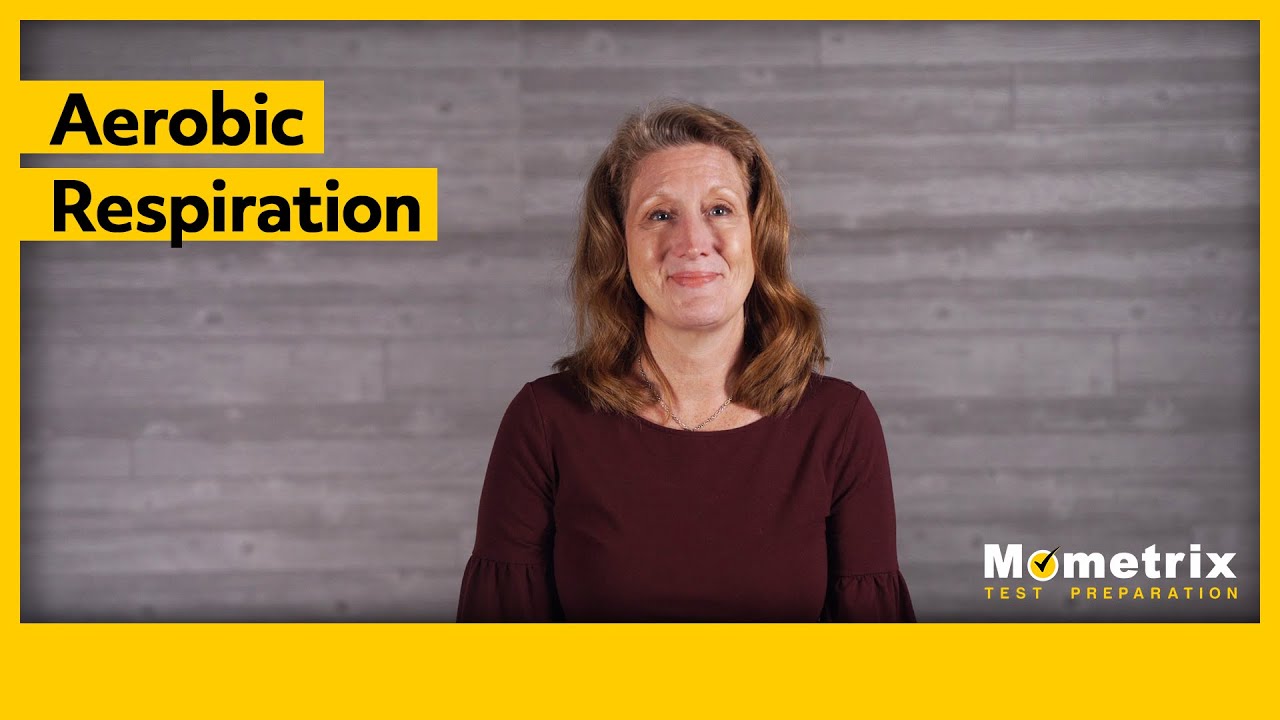 Aerobic Respiration