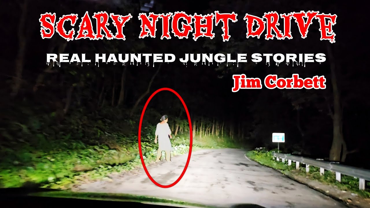 जंगल की सड़क और भूतों की कहानियां । Night Drive jim corbett | Real Haunted Jungle Stories #ghost