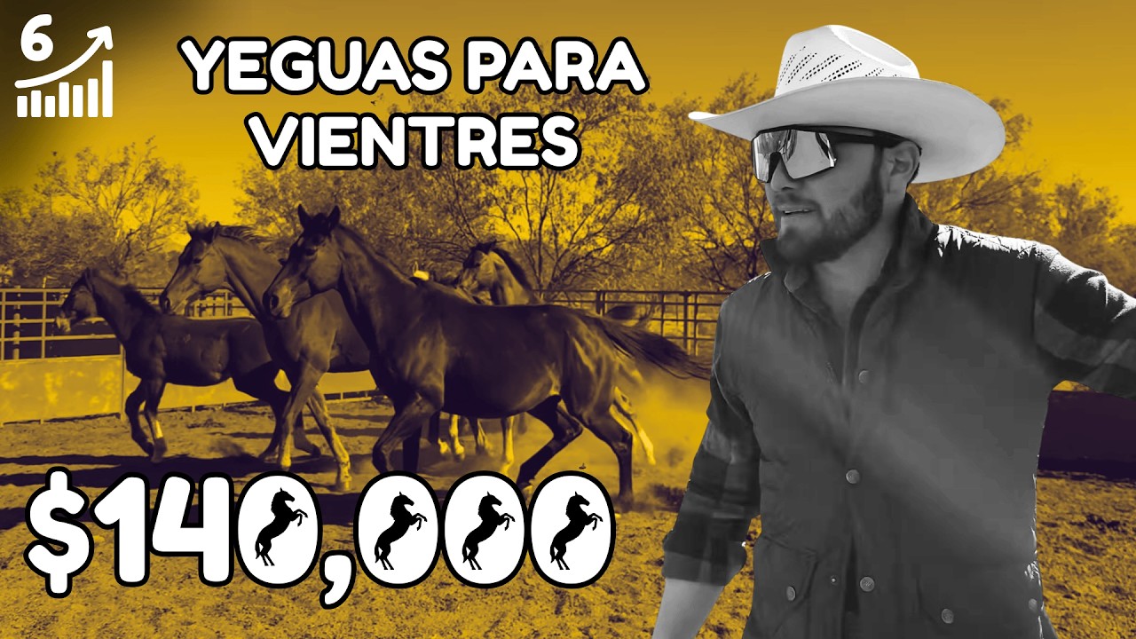 Yeguas para inseminacion de potrillos de registro