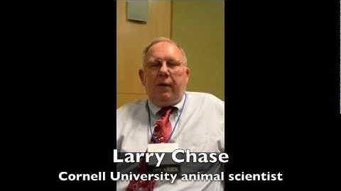 The Challenges Of Feeding High-Forage Dairy Rations