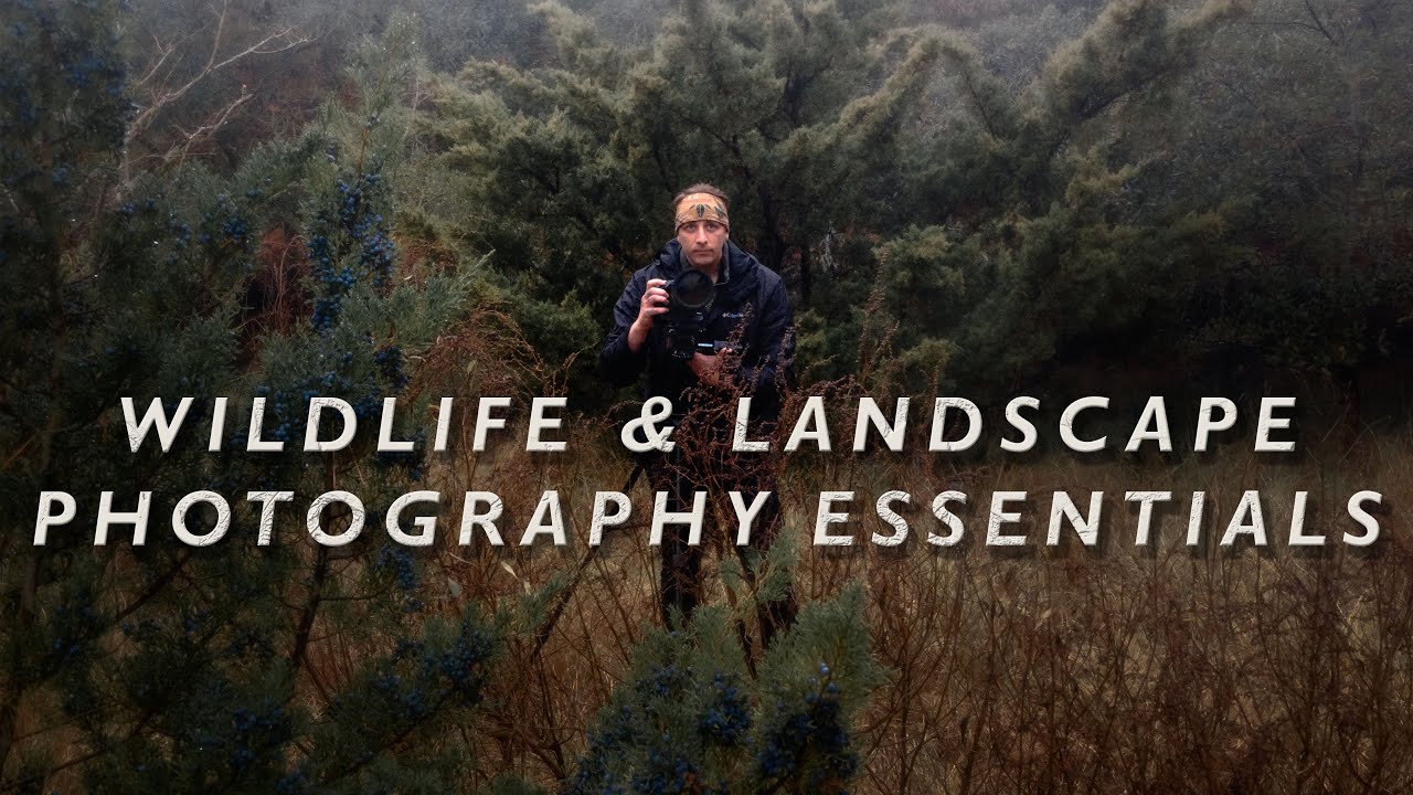 The ONLY 10 ESSENTIALS for Wildlife and Landscape Photography in 2022