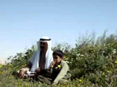 الشماسية الشاعر سليمان المطرودي ربيع التنهاة