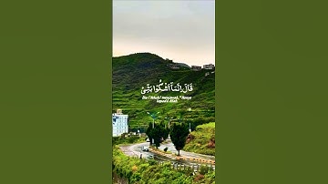 تلاوةخاشعة قرأن كريم راحة نفسية بصوت تخشع له القلوب #elmulquranعلم #تلاوة #اكسبلور #المصحف #duet