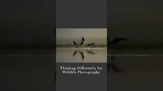 Thinking Differently for Wildlife Photography - Wildlife Photo Chat Video - Teaser