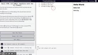 Celebrity Learn Basic HTML and HTML5: Headline with the h2 Element | freeCodeCamp.org 03 Net Worth