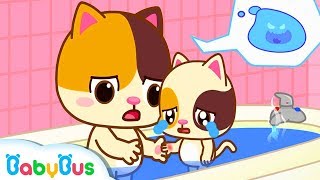 Bayi Kucing Lucu | Hati-hati Dengan Air Panas | Lagu Anak-anak | Bahasa Indonesia | BabyBus