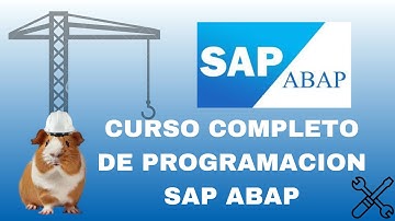 6. Variables de tipo incompleto C y P - CURSO COMPLETO DE PROGRAMACION SAP ABAP