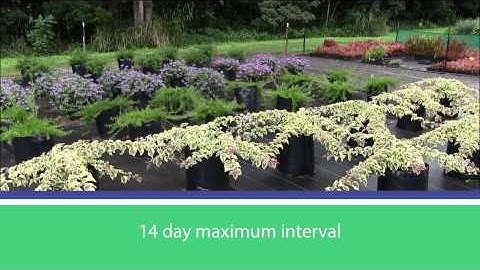 BioSecure HACCP Site Surveillance Procedure