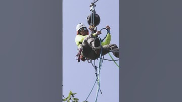 Tree removal with crane 2025 #treeclimbing #treeremoval #arborist #rigging #crane #sthil #husqvarna