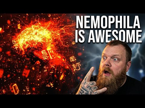 NEMOPHILA BRAINWASH Reaction - This Band is Awesome