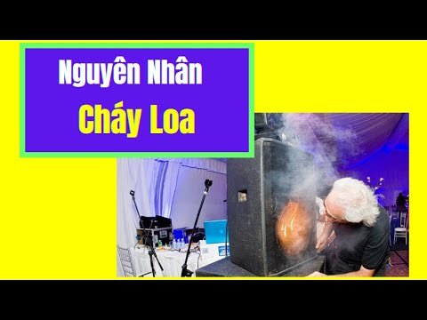 Các Nguyên Nhân Gây Cháy Loa
