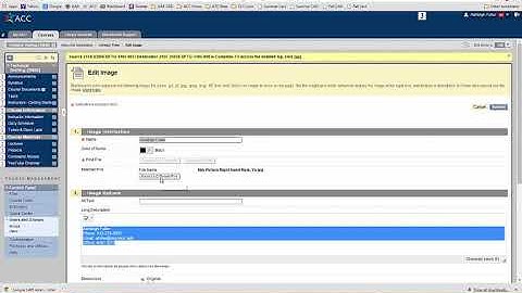 Changing Instructor Information in Blackboard