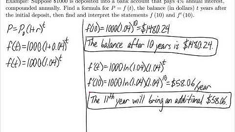 Business Calculus - Derivatives with Exponential and Logarithmic Functions