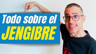 JENGIBRE para qué sirve y cómo se toma. Propiedades y beneficios del Jengibre