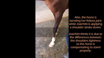 Equine Rolfing Session 1 on injured horse