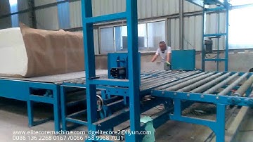 ECMT-100  Continuous foaming machine though type