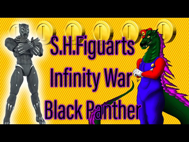 S.H.Figuarts Infinity War Black Panther and Rock set Review