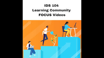 IDS 104: Expert Evaluator Activity & Discussion Assignment  Overview