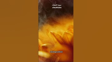 سورة الشعراء الأية78•79•80•81•82