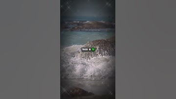 Follow Your Instincts: Your Inner Guide | Motivation