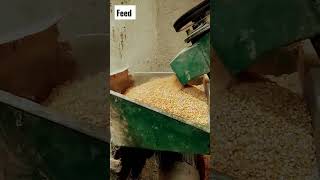 Feed Making