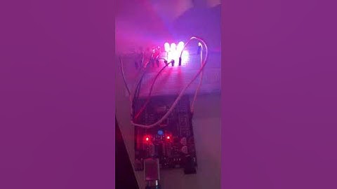 Evidencia de la práctica “Encender LEDs con Arduino”