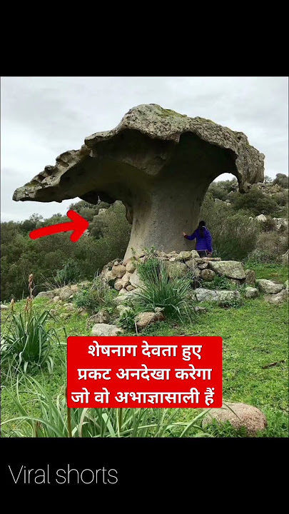 शेषनाग देवता हुए  प्रकट #vishnu #vishnupuran #vishnubhajan