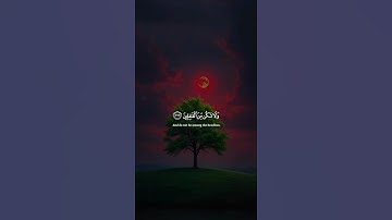 اكتب شيء تؤجر عليه 😴🤍 القارئ ياسر الدوسري