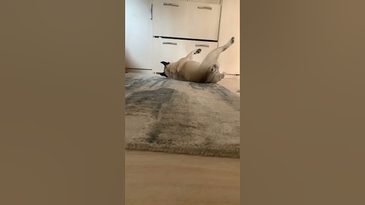 золотой 12-ти летний ребёнок 🤣👌