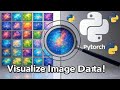 Visualizing Image Datasets in PyTorch | Python Deep Learning For Beginners