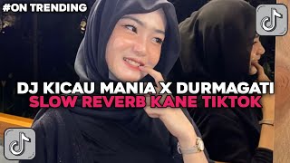 DJ KICAU MANIA X DURMAGATI REMIX ENAF KANE SOUND JJ FULLBASS TIKTOK TERBARU 