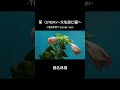 【cover】茎(STEM)〜大名遊ビ編〜 / 椎名林檎 #cover #guitar #shorts