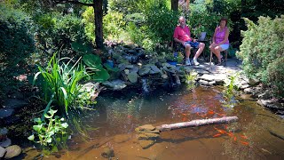 They turned their Backyard into a Garden Paradise!🌸