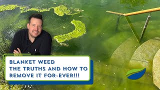 The TRUTH about blanket weed in your pond!