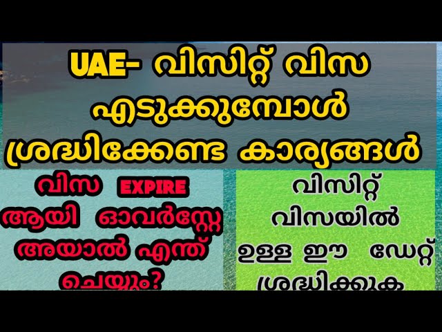 UAE visit visa information|visit visa overstay problems| #malayalam #uae #visitvisa#uaediaries class=