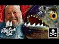 Einer der GEFÄHRLICHSTEN FISCHE der WELT | PIRANHAS für zuhause? | NORBERTS WELT | Zoo Zajac