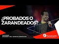#407¿Probados o zarandeados? - Pastor Ricardo Rodríguez