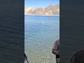 pangong lake ❤️ #kumarsir #viral #haryanvisong #song #mountains #shortvideo #shorts #shayari #short