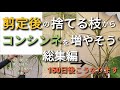 コンシンネ 剪定後の捨てる枝を使って水挿し 小鉢誕生まで150日　総集編
