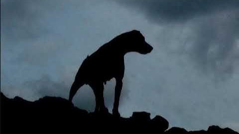 The Hound of the Baskervilles (Audiobook)