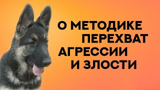 Методика Перехват. Агрессия и Злость. Dog Training. Protection.