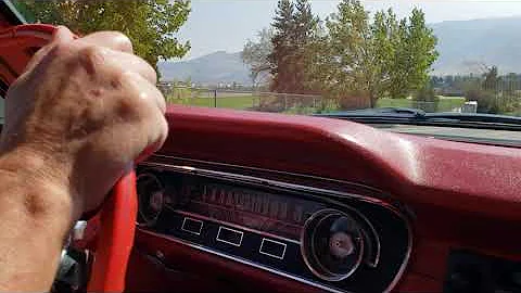 MustangDriving2
