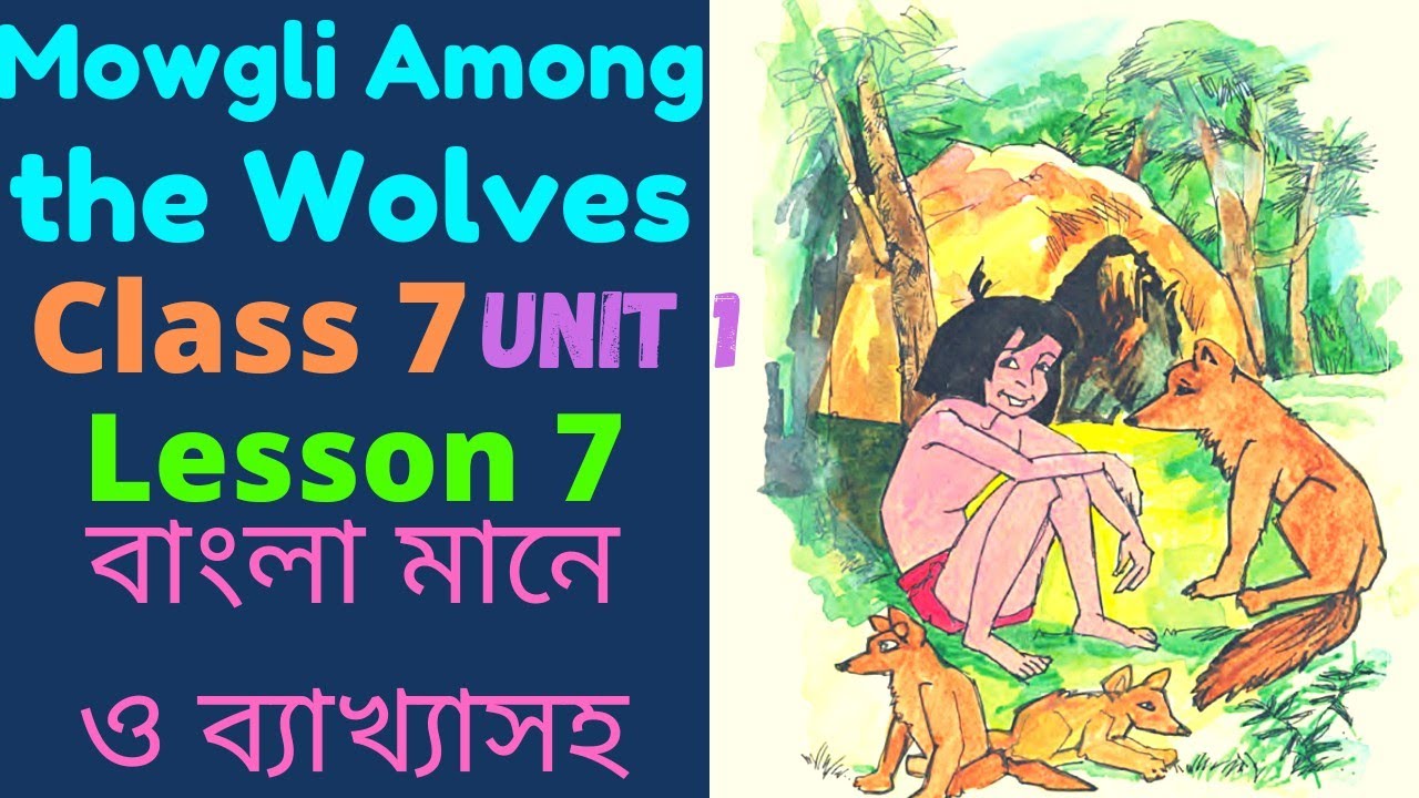 Mowgli Among the Wolves Class 7 Bengali Meaning। Class 7 Lesson 7 Mowgli Among the Wolves in