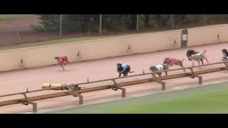 HVL SUN 31 MAR 19 R3